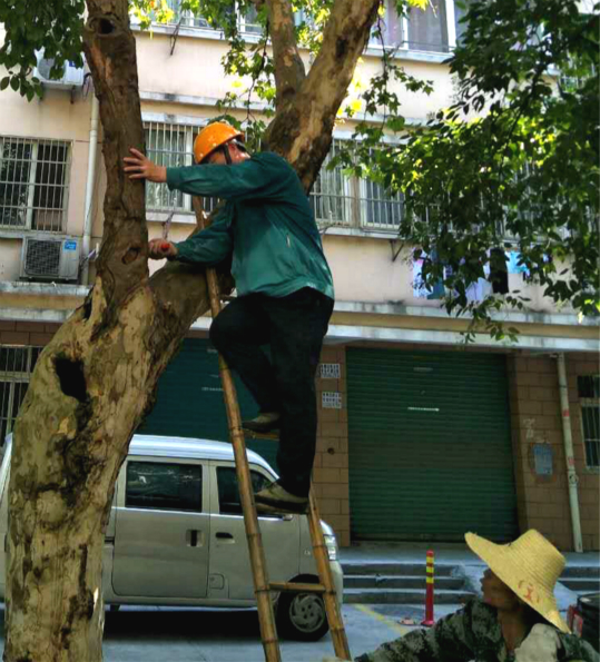 1566185222681006149.jpg 公管公司-高溫下的護綠人_meitu_8(?。?jpg